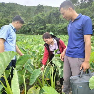 <a href="/tin-tuc-su-kien/thong-tin-kinh-te" title="Thông tin kinh tế" rel="dofollow">Kinh tế - Chính trị</a>