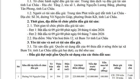 THÔNG BÁO CÔNG KHAI VIỆC ĐẤU GIÁ TÀI SẢN